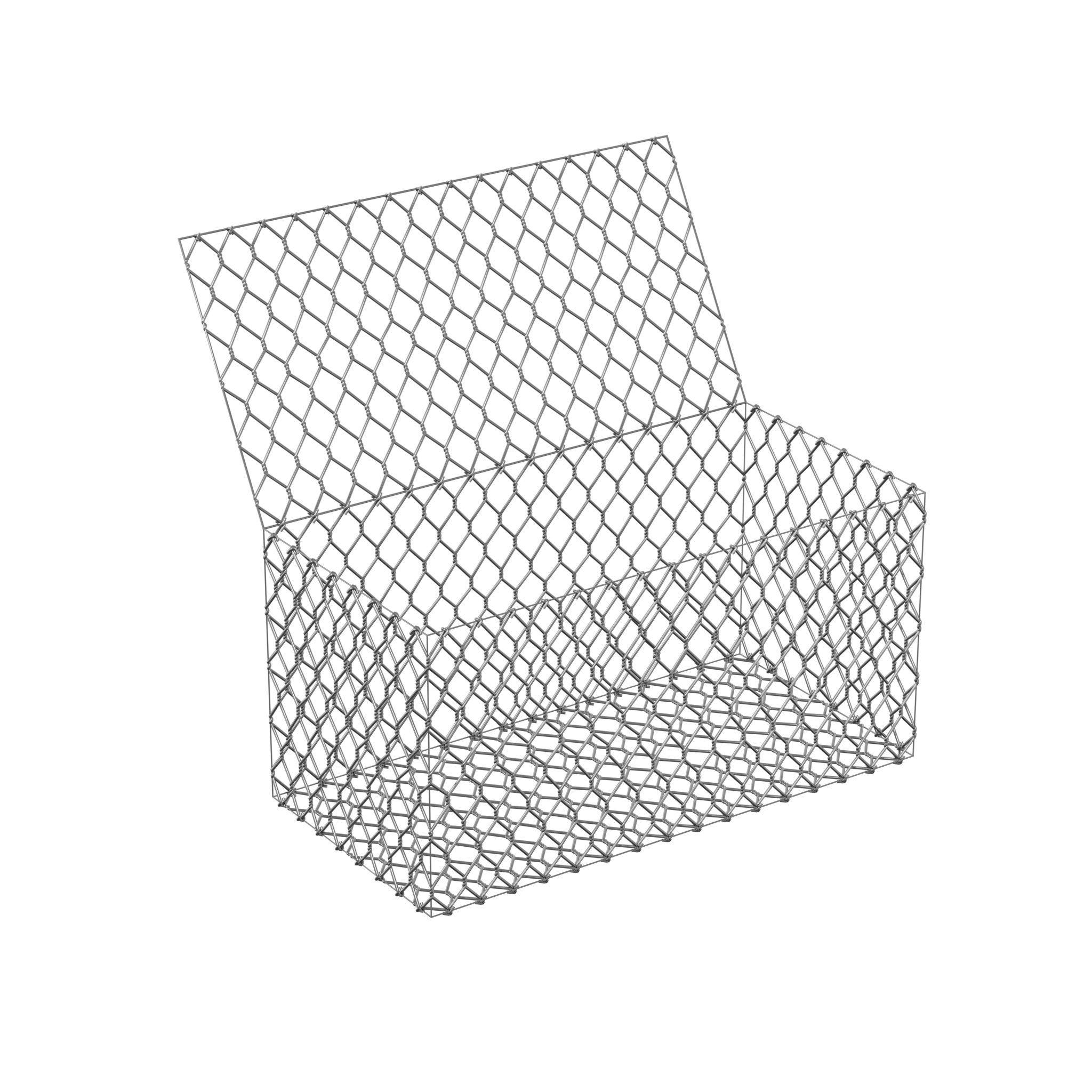 Model 1 R1.png Model 1 R1.png