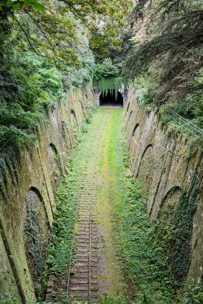 Заросшая железная дорога La Petite Ceinture, Париж, Франция Заросшая железная дорога La Petite Ceinture, Париж, Франция